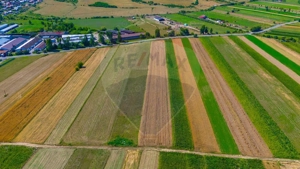 TEREN extravilan- 6 E/MP- CU PLANTATIE DE TRANDAFIRI! Teliu 7000mp - imagine 5