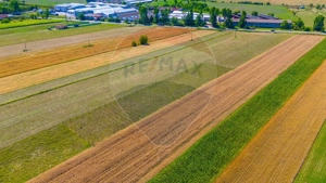 TEREN extravilan- 6 E/MP- CU PLANTATIE DE TRANDAFIRI! Teliu 7000mp - imagine 6