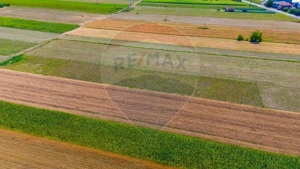 TEREN extravilan- 6 E/MP- CU PLANTATIE DE TRANDAFIRI! Teliu 7000mp - imagine 7