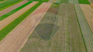 TEREN extravilan- 6 E/MP- CU PLANTATIE DE TRANDAFIRI! Teliu 7000mp - imagine 4