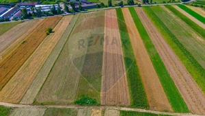 TEREN extravilan- 6 E/MP- CU PLANTATIE DE TRANDAFIRI! Teliu 7000mp - imagine 3