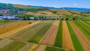 TEREN extravilan- 6 E/MP- CU PLANTATIE DE TRANDAFIRI! Teliu 7000mp - imagine 8