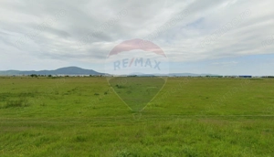 Teren intravilan 2000 mp – Strada Cucului, Brașov - imagine 3