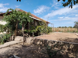 Casă de vânzare în sat LANURILE  - imagine 27