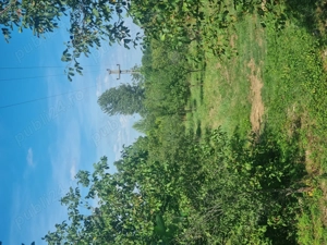 Teren intravilan Coada Malului - imagine 6