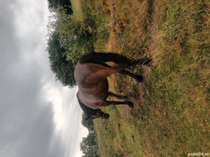 vând. detalii la tel.   - imagine 2 vând. detalii la tel.   - imagine 2