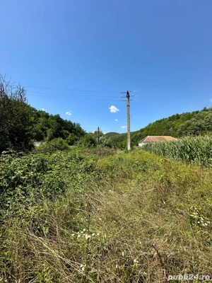 Vanzare teren - imagine 5