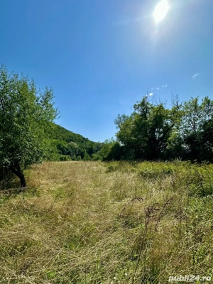 Vanzare teren - imagine 2