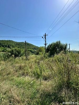 Vanzare teren - imagine 4