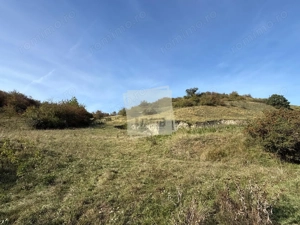 Teren extravilan 40.000 mp sau 80.000 mp in Gusterita