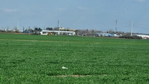 Magurele Varteju  Teren 500mp  - imagine 6