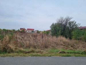 Vanzare Teren Rezidential 1Decembrie Ilfov  2400mp - imagine 5