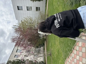 Ofer spre adoptie iepuras - imagine 3