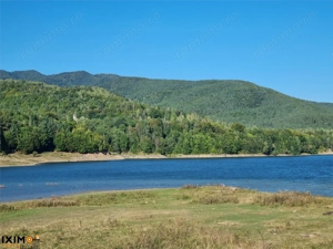 Teren  Lac Poiana Uzului