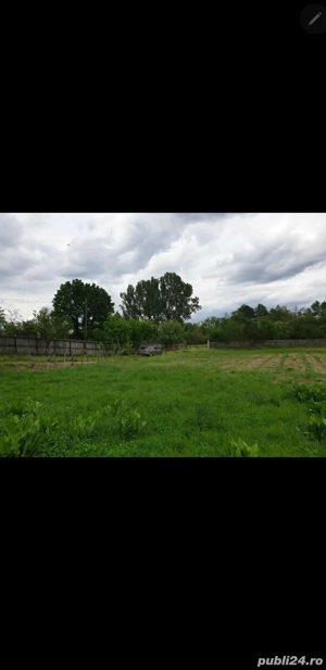 Vand teren de casa intravilan 5900mp cu vie si livada pe jumatate din suprafata