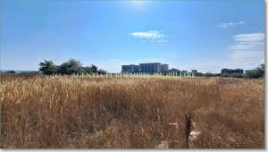 Teren de vanzare in Mamaia Sat (Nord), Mamaia Sat - 223 mp - imagine 3