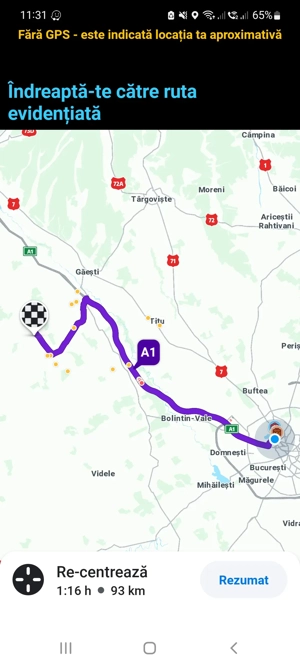 Casa de caramida cu 5900mp intravilan - imagine 9