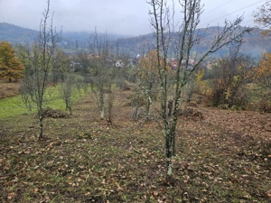 Teren de vanzare  - imagine 2