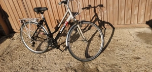 Bicicleta GIANT MODEL 2020