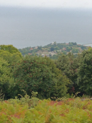 Vînd teren suprafață 7000 m 