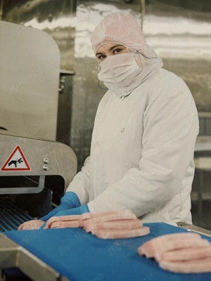 Angajăm personal necalificat - abator Germania - imagine 2