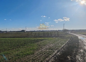 Teren Joita -  Bacu - Dragomiresti