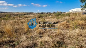 ZONA PECO- TEREN 1496 MP, IDEAL CONSTRUCTII LOCUINTE - imagine 8