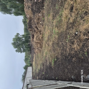 Teren Gearmata Mare Timișoara  - imagine 3