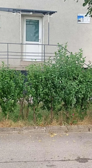 Ofer spre închiriere spațiu comercial 