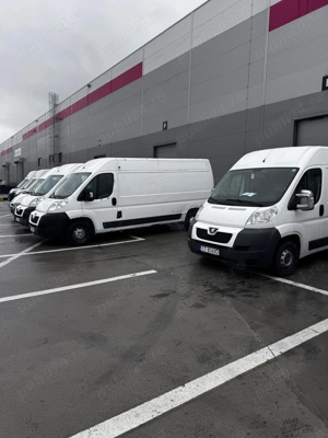 Angajez sofer - Cargus