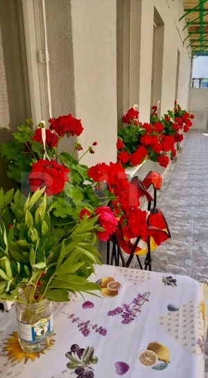 Apartament cu 2 camere, 90mp , cu curte, zona Turda Noua  - imagine 13