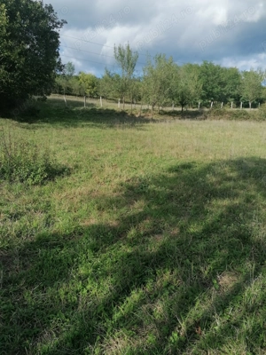 Teren Paulis langa Deva