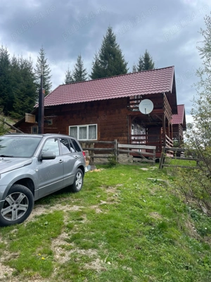 Cabana Muntele Baisorii - imagine 4