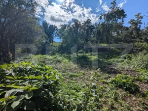 Casă renovabilă cu teren generos de 1268 mp și front de 20 m, Gheorghieni Sat - imagine 4