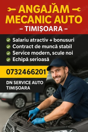 Angajam Mecanic  Auto -Timisoara