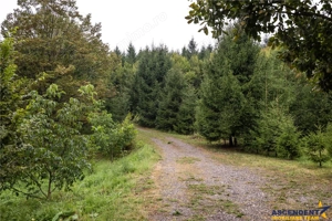 Refugiu montan,cu 2100 mp domeniu verde,arie ultra-liniara, potential extins, Vladeni,Brasov - imagine 16