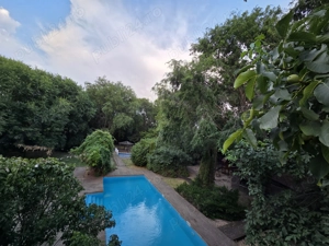 Casa la curte 400mp construiti, piscina, teren de 4500mp - imagine 5  Casa la curte 400mp construiti, piscina, teren de 4500mp - imagine 5