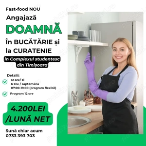 Doamna in bucatarie si curatenie