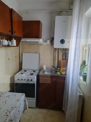 Apartament cu o cameră Buziașului - imagine 8