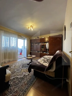 Apartament cu o cameră Buziașului