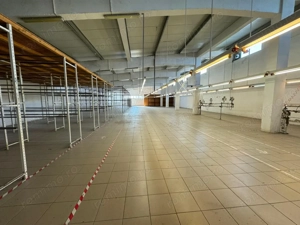 Hala productie P+1 si apartament de serviciu Navodari - c-tie beton - imagine 10