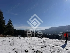 Teren intravilan Colibita 26 arii - imagine 9