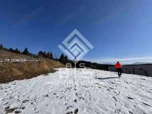 Teren intravilan Colibita 26 arii - imagine 3