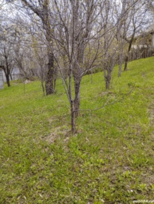 Căsuța de vacanta cu teren - imagine 5