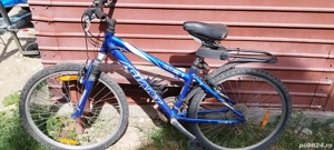bicicleta adulți 