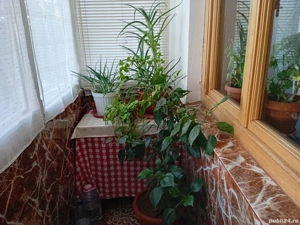 apartament de vanzare - imagine 3