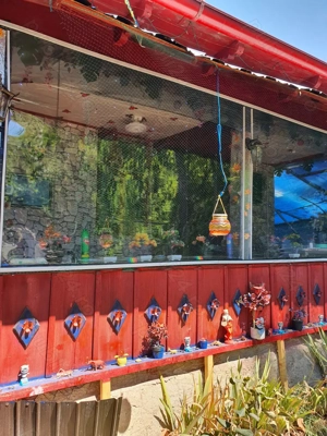 Pănătău Casă Vânzare - imagine 3