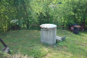 Cabana, anexe si 2000 mp teren intravilan in Taratel, Brad - imagine 18