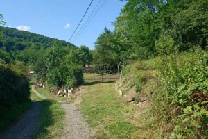 Cabana, anexe si 2000 mp teren intravilan in Taratel, Brad - imagine 8