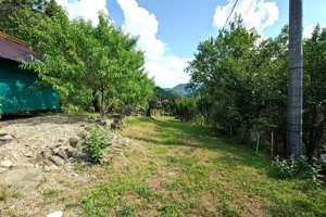 Cabana, anexe si 2000 mp teren intravilan in Taratel, Brad - imagine 12